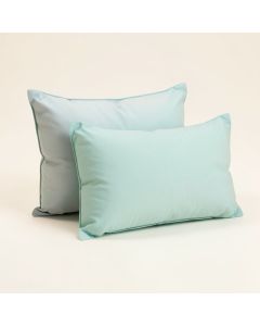 Coral Lagoon Indoor/Outdoor , Removable Cover Pillow , Large & 1 Lumbar Pillow (synthetic illustration; no displayed measurements)