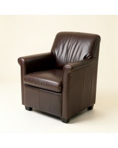 Payden Leather Upholstered Dining Chair In Espresso (synthetic illustration; no displayed measurements)