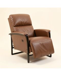 Almarie 35.8 '' Wide Power Lift Assist Standard Recliner (synthetic illustration; no displayed measurements)