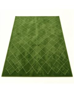 Shore Crest Rectangular Area Rug - Green (synthetic illustration; no displayed measurements)