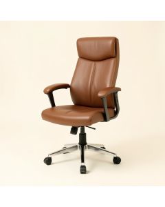 Ronin Ergonomic Office Chair (synthetic illustration; no displayed measurements)