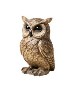 Scholarly Owl Statue