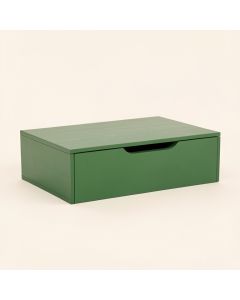 Lake Dell Desktop Monitor Riser - Green (synthetic illustration; no displayed measurements)