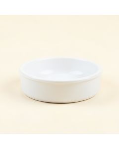 Automatic Water Dish (synthetic illustration; no displayed measurements)