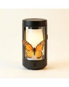 Butterfly Jar Solar Powered Led Pathway Light Pack (synthetic illustration; no displayed measurements)