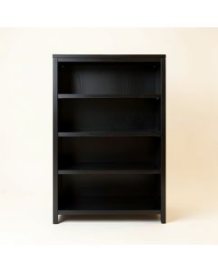 Ash Bridge Empty Seed-Starting Shelving Unit Without Lights - Black (synthetic illustration; no displayed measurements)