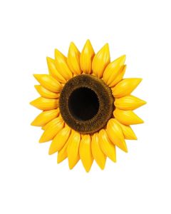 Wacky Sun