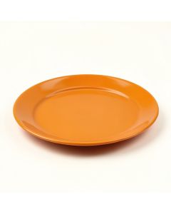 Behold The Mighty Hog Platter (synthetic illustration; no displayed measurements)