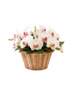Artificial Orchids Floral Arrangements In Basket