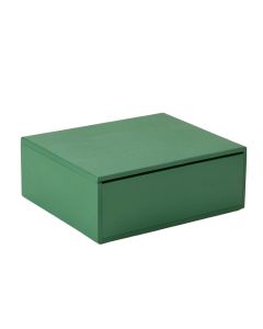 Glen Field Desktop Monitor Riser - Green (synthetic illustration; no displayed measurements)