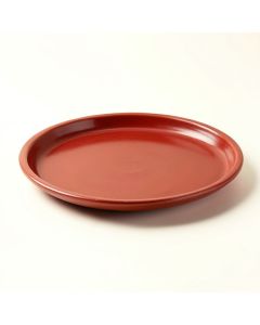 Fish Curved Platter (synthetic illustration; no displayed measurements)