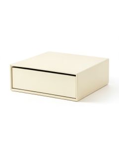 Field Brook Desktop Monitor Riser - Ivory (synthetic illustration; no displayed measurements)