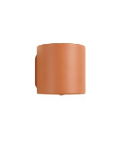 Birch Arc Wall Sconce Mounted On A Plain Wall