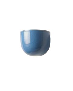 Lake Bend Wall Sconce Mounted On A Plain Wall - Blue (synthetic illustration; no displayed measurements)
