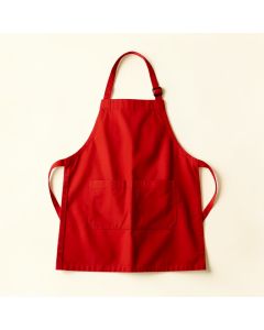 Ayesha Curry Canvas Kid Apron (synthetic illustration; no displayed measurements)