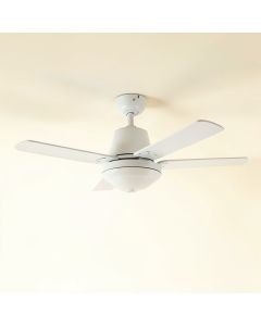 Ceiling Fan Canoies (synthetic illustration; no displayed measurements)