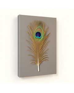 Golden Blue Peacock Feather I - Print On Canvas (synthetic illustration; no displayed measurements)