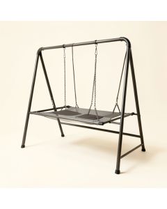 Magic Carpet Swing Set (synthetic illustration; no displayed measurements)