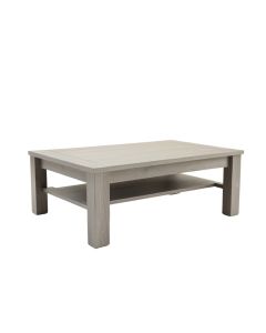 Spruce Branch Coffee Table - Gray (synthetic illustration; no displayed measurements)
