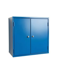 Ridge Bridge Wall-Mounted Entry Cabinet - Blue (synthetic illustration; no displayed measurements)