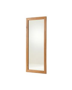 Dashan Modern & Contemporary Full Length Mirror