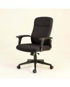 Dillsboro Executive Chair (synthetic illustration; no displayed measurements)
