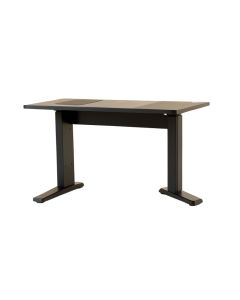 Gaming Desk