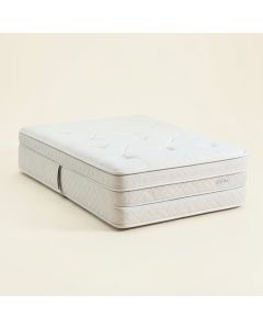 10 '' Plush Pillow Top Mattress And Box Spring Set (synthetic illustration; no displayed measurements)