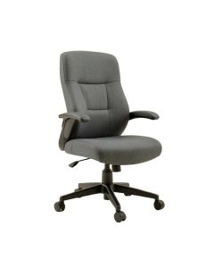 Alman Ergonomic Task Chair