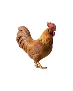 Cameo Rooster Print Wall Décor (synthetic illustration; no displayed measurements)