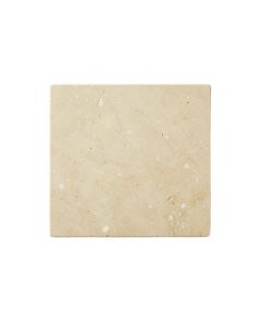 Moss Branch Uninstalled Square Decorative Tile - Beige