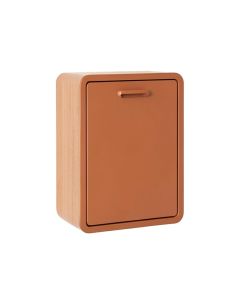 Moss Bridge Wall-Mounted Laundry Cabinet - Terracotta (synthetic illustration; no displayed measurements)