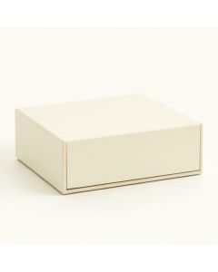River Dell Desktop Monitor Riser - Ivory (synthetic illustration; no displayed measurements)