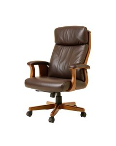 High Back Home Office Ergonomic Executive Chair (synthetic illustration; no displayed measurements)