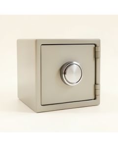 Electronic Storage Safe With Dual-Lock (synthetic illustration; no displayed measurements)