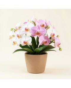 Faux Orchid Floral Arrangement In Planter (synthetic illustration; no displayed measurements)