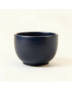 Bay Arc Empty Planter (synthetic illustration; no displayed measurements)
