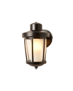 Chestertown 1-Light Outdoor Barn Light