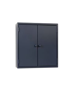 Fern Canyon Wall-Mounted Entry Cabinet - Navy (synthetic illustration; no displayed measurements)