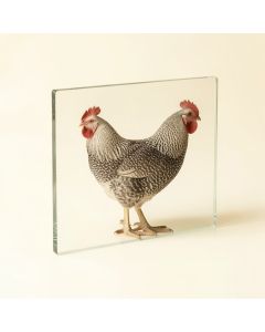 Counterart Tempered Glass Farm Fresh Rooster Cutting Board (synthetic illustration; no displayed measurements)