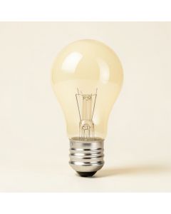 5 Watt , Incandescent Dimmable Light Bulb , Warm White ( 2200K ) E12/Candelabra Base (synthetic illustration; no displayed measurements)