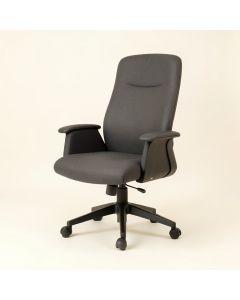 Enosburg Ergonomic Executive Chair (synthetic illustration; no displayed measurements)