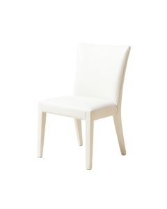 Queen Anne Back Side Chair In White (synthetic illustration; no displayed measurements)