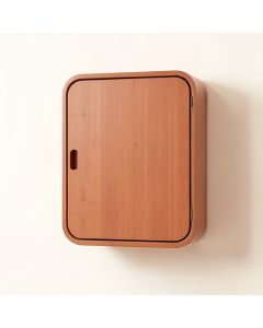 Hill Canyon Wall-Mounted Laundry Cabinet - Terracotta (synthetic illustration; no displayed measurements)