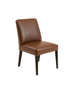 Naida Metal Side Chair (synthetic illustration; no displayed measurements)