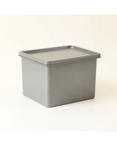Pine Arc Closed Outdoor Storage Box - Gray (synthetic illustration; no displayed measurements)
