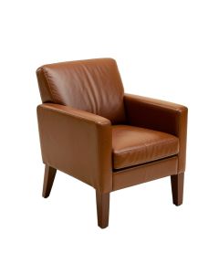 Zebra Arm Chair