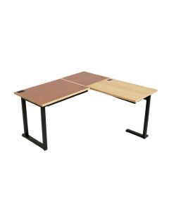 Ezoza L-Shape Desk (synthetic illustration; no displayed measurements)