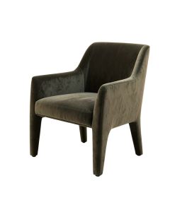 Robey Upholstered Dining Chair (synthetic illustration; no displayed measurements)
