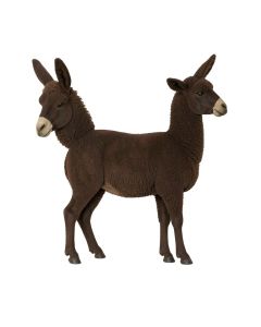 Donkey , Llama , Goat , Sheep By Eli Halpin - Print On Canvas